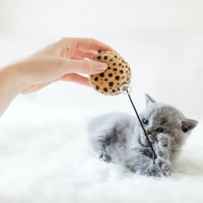 Juguete interactivo de varita con pelota para tu gato