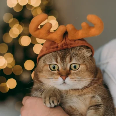 GORRITO NAVIDEÑO