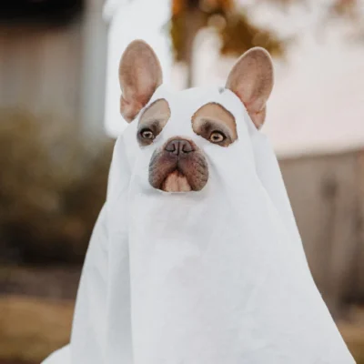 TRAJE DE FANTASMA